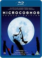  Online DVD Rental