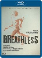  Online DVD Rental