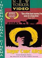  Online DVD Rental