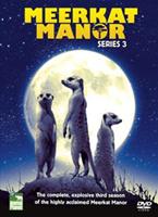  Online DVD Rental