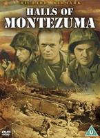  Online DVD Rental