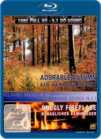  Online DVD Rental