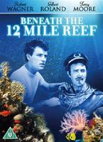  Online DVD Rental