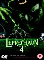  Online DVD Rental