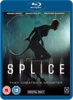  Online DVD Rental