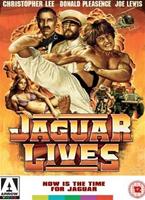  Online DVD Rental