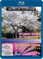  Online DVD Rental