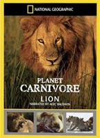  Online DVD Rental