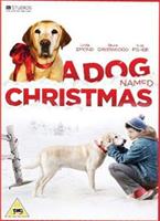  Online DVD Rental