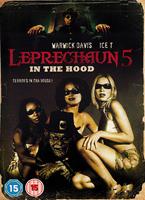  Online DVD Rental
