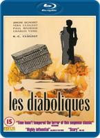  Online DVD Rental