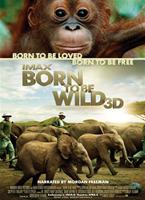  Online DVD Rental