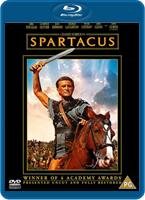  Online DVD Rental