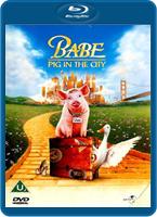  Online DVD Rental