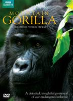  Online DVD Rental