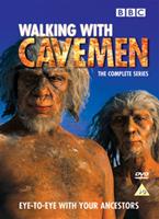  Online DVD Rental