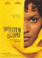  Online DVD Rental