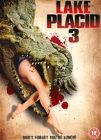  Online DVD Rental