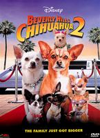  Online DVD Rental