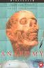 Anatomie Online DVD Rental
