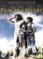  Online DVD Rental