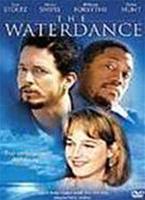  Online DVD Rental
