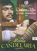  Online DVD Rental