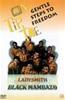 Ladysmith Black Mambazo: On Tiptoe Online DVD Rental