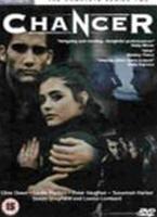  Online DVD Rental