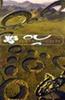 Yes: Symphonic Live in Amsterdam Online DVD Rental