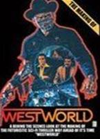  Online DVD Rental