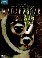 Madagascar Online DVD Rental