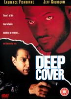  Online DVD Rental