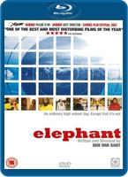  Online DVD Rental