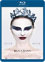  Online DVD Rental