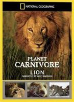  Online DVD Rental