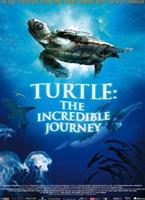  Online DVD Rental