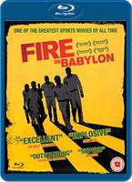  Online DVD Rental