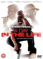  Online DVD Rental