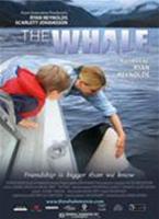  Online DVD Rental