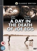  Online DVD Rental