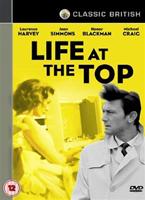  Online DVD Rental