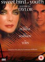  Online DVD Rental
