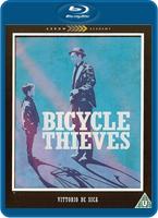  Online DVD Rental