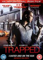  Online DVD Rental