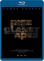  Online DVD Rental
