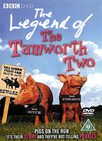  Online DVD Rental