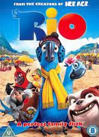  Online DVD Rental