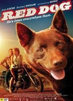 Red Dog Online DVD Rental