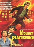  Online DVD Rental